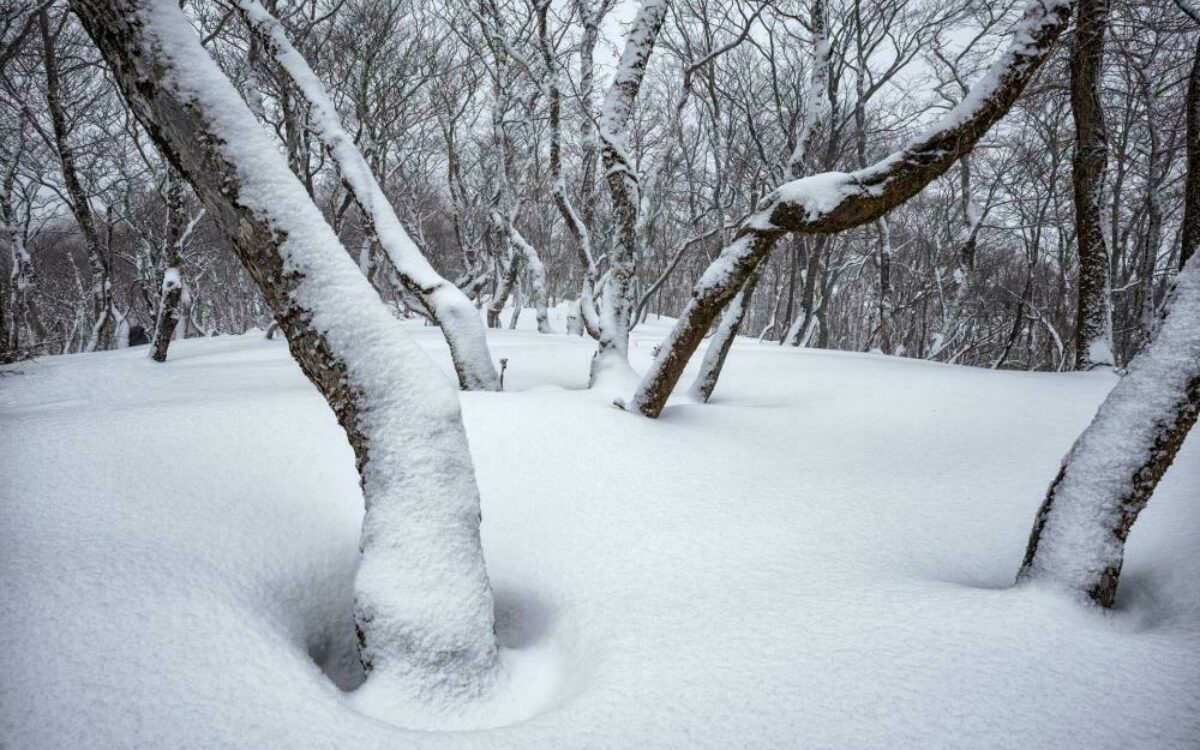 1612722622landscape 5921198 1920 1612722622landscape 5921198 1920